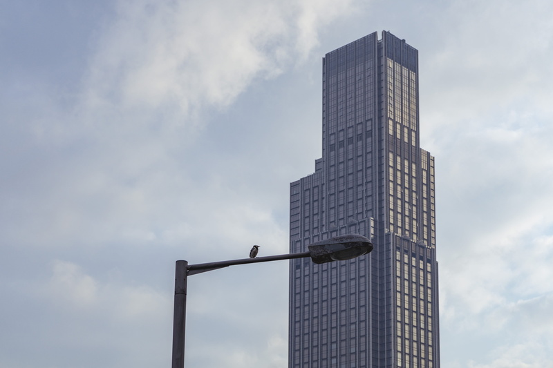 steel, gray, glass windows, travel, built structure, nature, skyline, lamppost, architectural design, low angle view, commercial building, cloud - sky