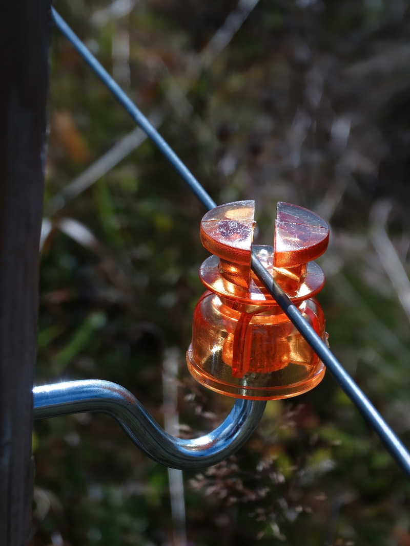 light bulb, protection, shielding, spoon, outdoors, shiny, Insulator, cow wire, Cow, electricity, mount, transparent, water, screw-in, electric lamp, fenced