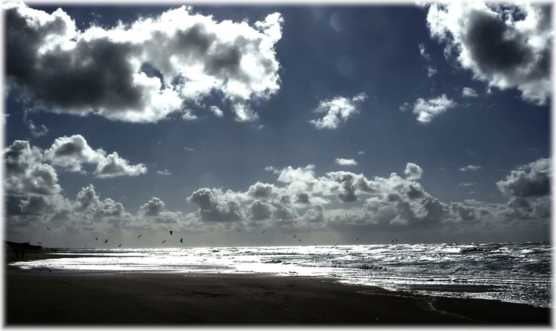 sun, drama, reflections, mirroring, sand, water, dramatic sky, gulls, horizon, wave, beach, cumulus, scenics - nature, birds, blue, weather mood, landscape