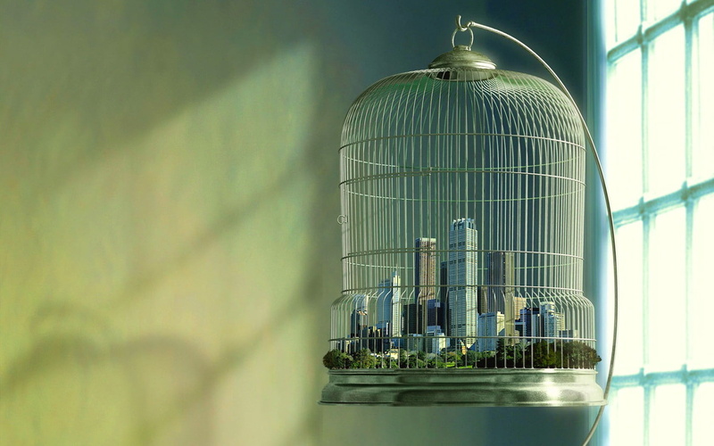 wall - building feature, bird, cage, reflection, outdoors, micro, birdcage, hanging, silver colored, low angle view, the city, close-up, alloy, animal themes