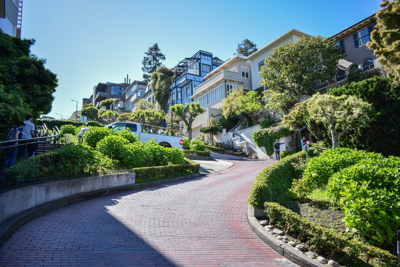 building, plant, growth, tree, san francisco, clear sky, built structure, footpath, francisco, water, sunlight, st, architecture, nature, san, landscape