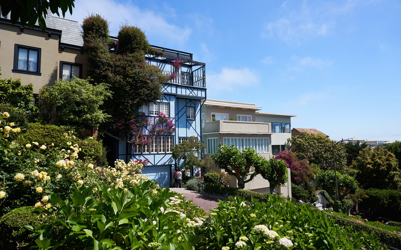 nature, sky, flower, flowering plant, cloud - sky, house, no people, growth, 5K, sunlight, city, architecture, day, lombard street, green color, residential district
