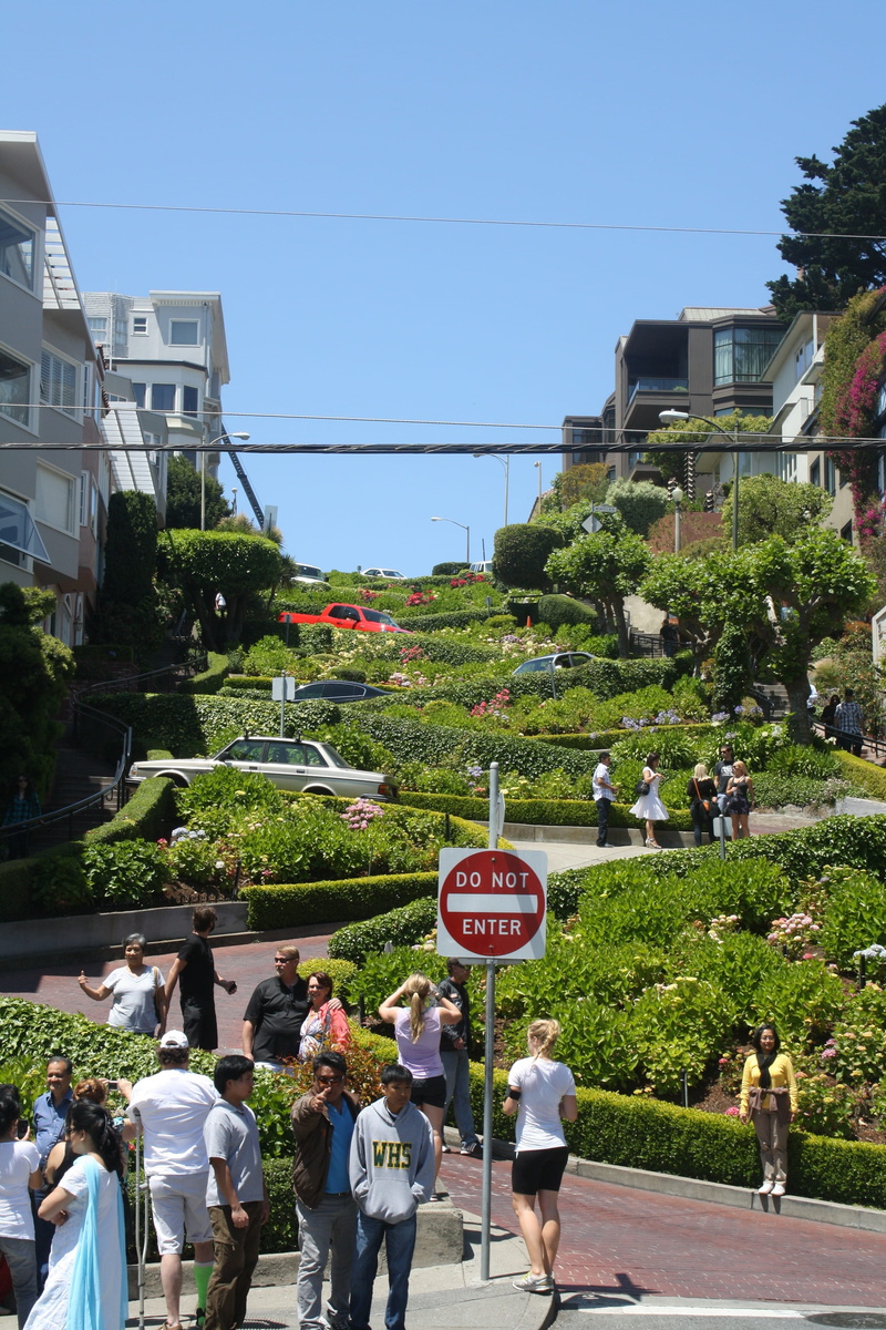 crowd, famous, large group of people, turns, california, walking, lifestyles, sky, text, real people, street, built structure, group of people, plant, San Francisco
