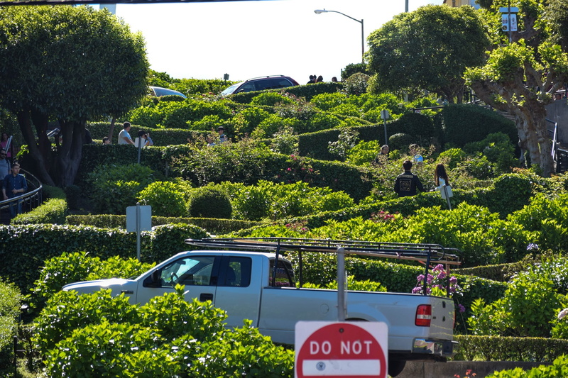 motor vehicle, urban, lombard street, transportation, golden gate, road, mode of transportation, communication, nature, green color, san francisco, outdoors