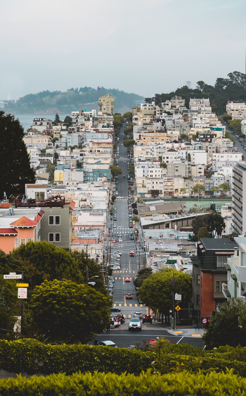 san francisco, nature, high angle view, metropolis, apartment, sky, cityscape, transportation, built structure, architecture, no people, building exterior