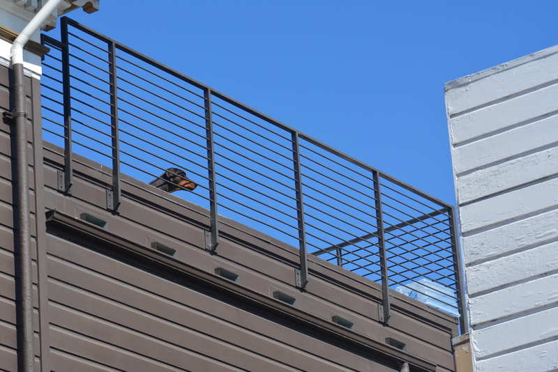 modern, office building exterior, sunny, safety, san francisco, alloy, 4K, window, united states, dog, clear sky, stripes, lombard street, steel, metal