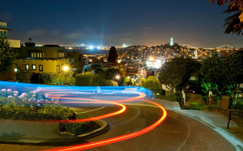 building, residential district, illuminated, urban Scene, 1080P, light trail, street Light, house, san francisco, glowing, dusk, plant, green, cityscape