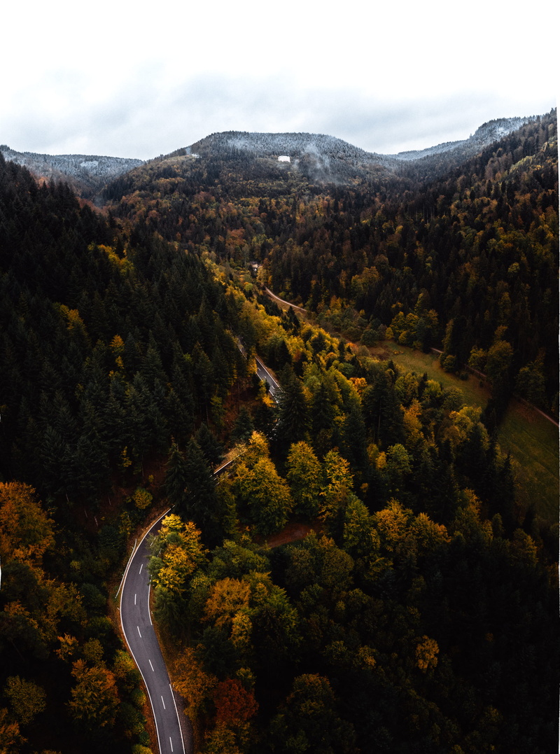 non-urban scene, tranquility, halloween, plant, environment, winter, street, landscape, tree, no people, nature, sky, germany, growth, drone, high angle view