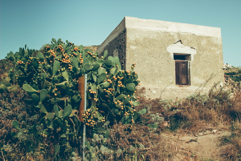 rural scene, nature, lipari, land, sicily, sky, blue, plantation, vineyard, field, flowering plant, built structure, day, italy, architecture, abandoned
