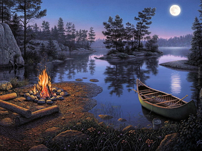tourism, stay, water, wood, summer, the fire, the moon, dusk, scenics - nature, brown, bonfire, romance, night, fire - Natural Phenomenon, heat - Temperature