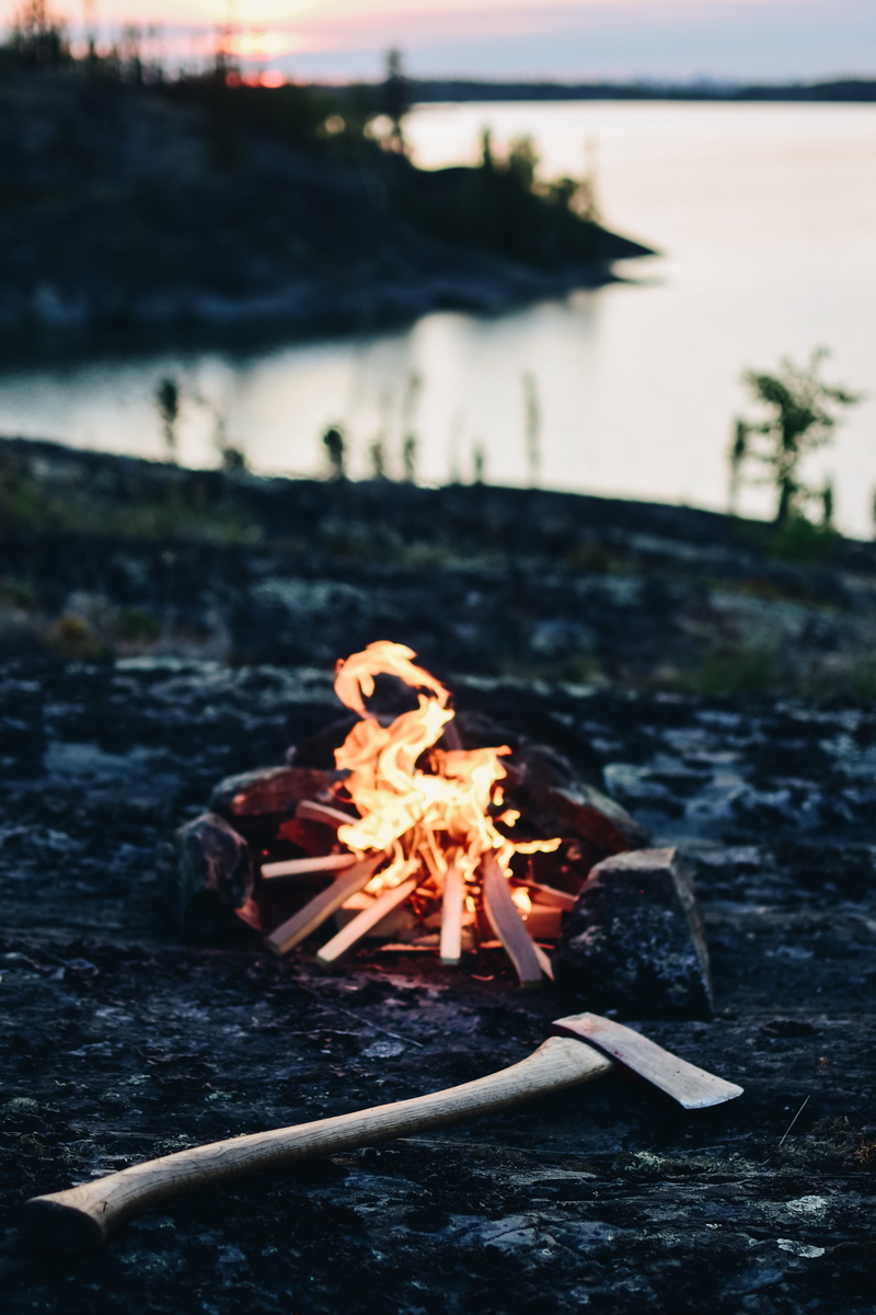 flame, tree, burning, heat - temperature, shallow, no people, wood, beside, lake, photography, flames, focus on foreground, camping, adventure, sunset