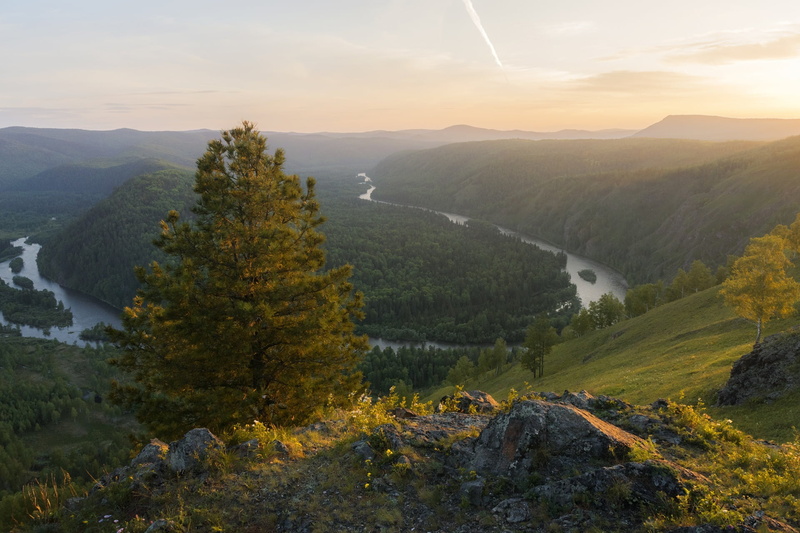 trees, Krasnoyarsk Krai, landscape, pass, pine, autumn, nature, mountains, river, tree, forest, Mana, the evening, 1080P, stones
