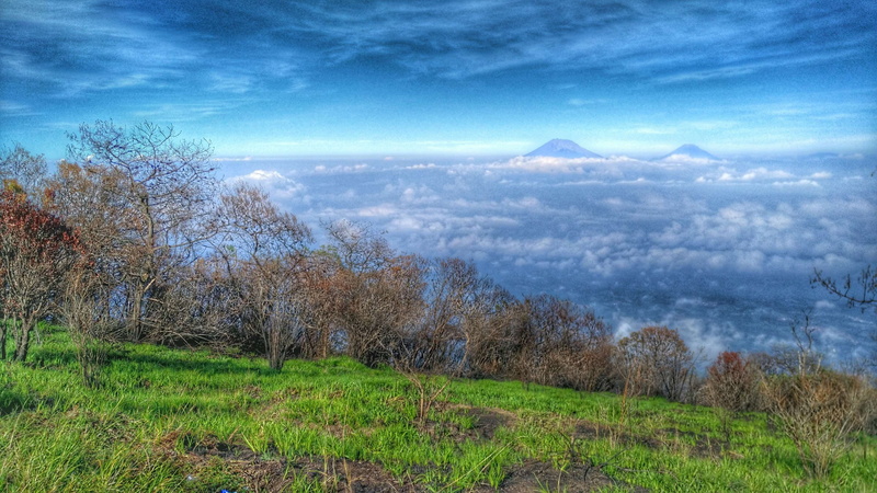 sky, landscape, scenics - nature, mountain, tranquility, indonesia, cloud - sky, clouds, no people, growth, green color, grass, environment, beauty in nature