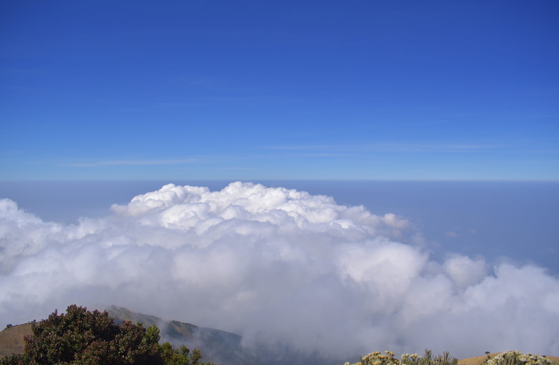 scenics - nature, mountain, merbabu, non-urban scene, nature, outdoors, growth, tranquil scene, clouds, scenic, no people, tranquility, indonesia, summer