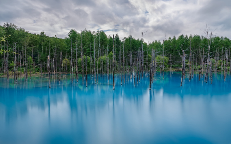 trees, no people, reflection, sky, tranquil scene, body, idyllic, tranquility, outdoors, turquoise colored, plant, reflection lake, clean, beauty in nature