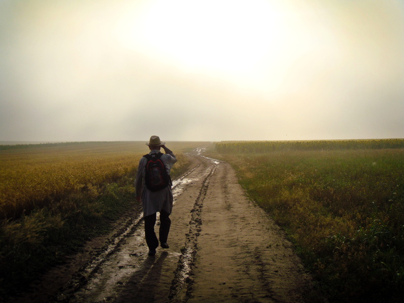 environment, direction, brown, lifestyles, beauty in nature, hat, full length, man, adult, sky, leisure activity, red, footpath, path, solitude, plant