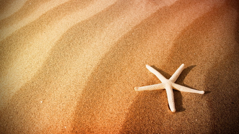 beach, sand, savana, desert, 720P