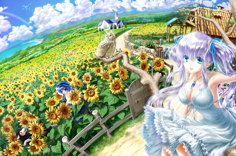 elves, sunflowers, action, girls, elf, world, fantasy, games, fighting, adventure, anime, dress, online, 1080P, mabinogi, mmo, rpg