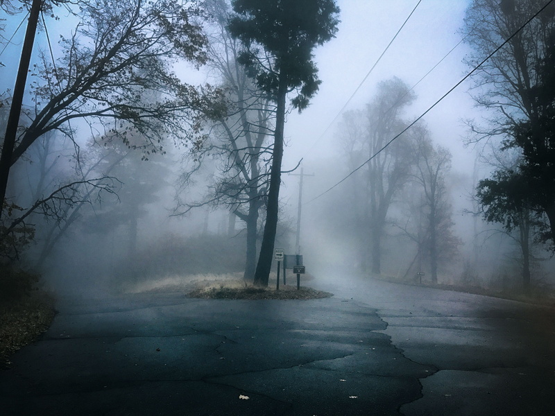 land, nate harrison rd, plant, beauty in nature, sky, road, 4K, road trip, branch, no people, fog, transportation, tranquility, environment, california