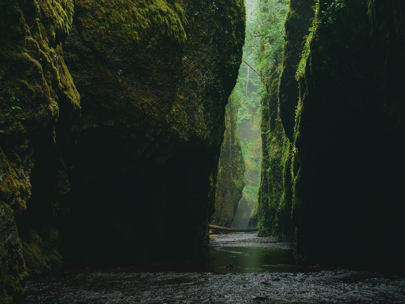 plant, rocks, green, beauty in nature, water, cave, tranquil scene, rock - object, steep, day, rock, outdoors, flowing, journey, nature, flowing water
