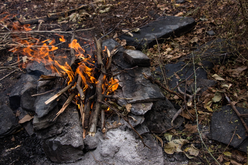 5K, environment, forest, burning, fire, stick - plant part, salamander, high angle view, fire - natural phenomenon, slate, burnt, leash, forest fire, campfire