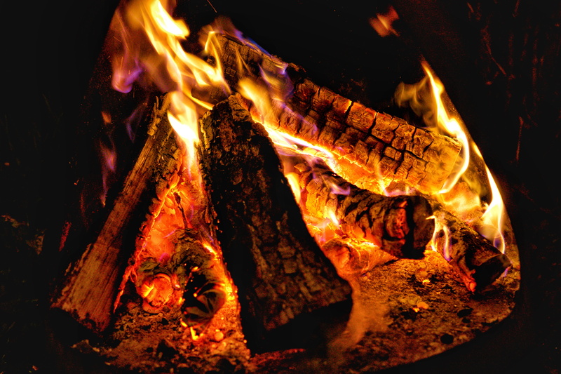glowing, heat - temperature, mountain, land, wood, salamander, hearth, amphibian, close-up, eruption, animal, motion, firewood, fire - natural phenomenon