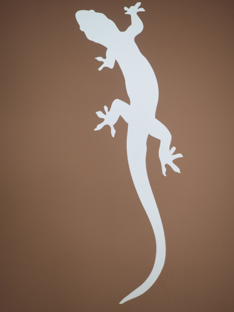 art and craft, christmas decoration, white color, lizard, holiday, tree, shape, crawl, wall - building feature, 4K, logo, amphibian, nature, silhouette