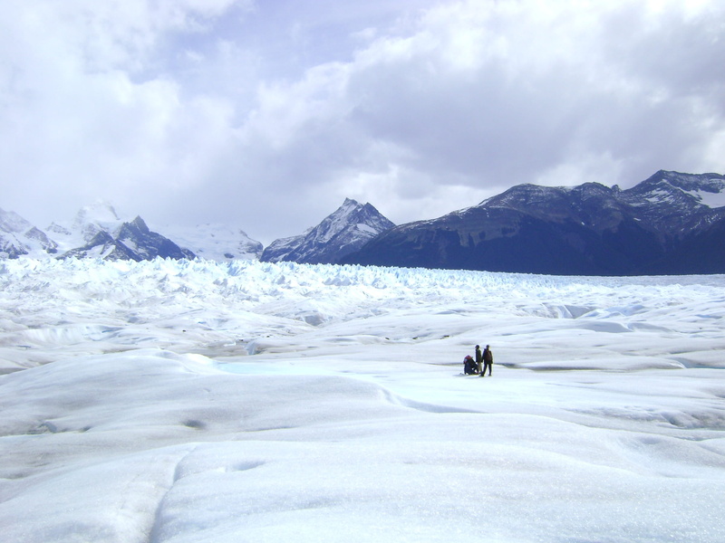 beauty in nature, mountain, unrecognizable person, animals in the wild, animal wildlife, cold temperature, snowcapped mountain, Glacier, argentina, big ice