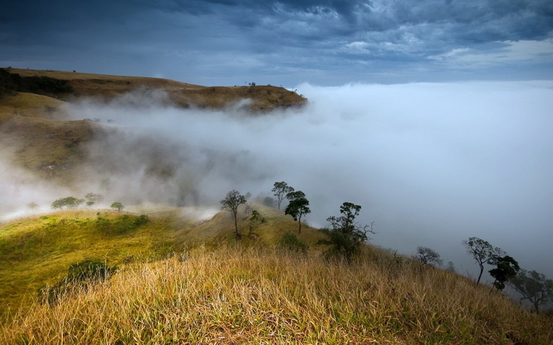 fog, tranquil scene, day, power in nature, geology, mist, tranquility, grass, land, scenics - nature, hot spring, mountain, beauty in nature, plant, environment