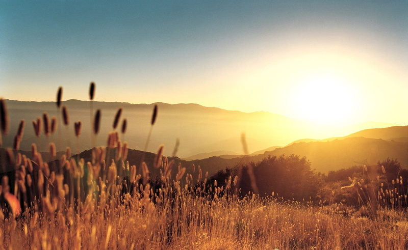 brown, tranquility, twilight, no people, sunlight, sunset, outdoors, summer, field, land, scenics - nature, sky, nature, beauty in nature, sun, mountain range
