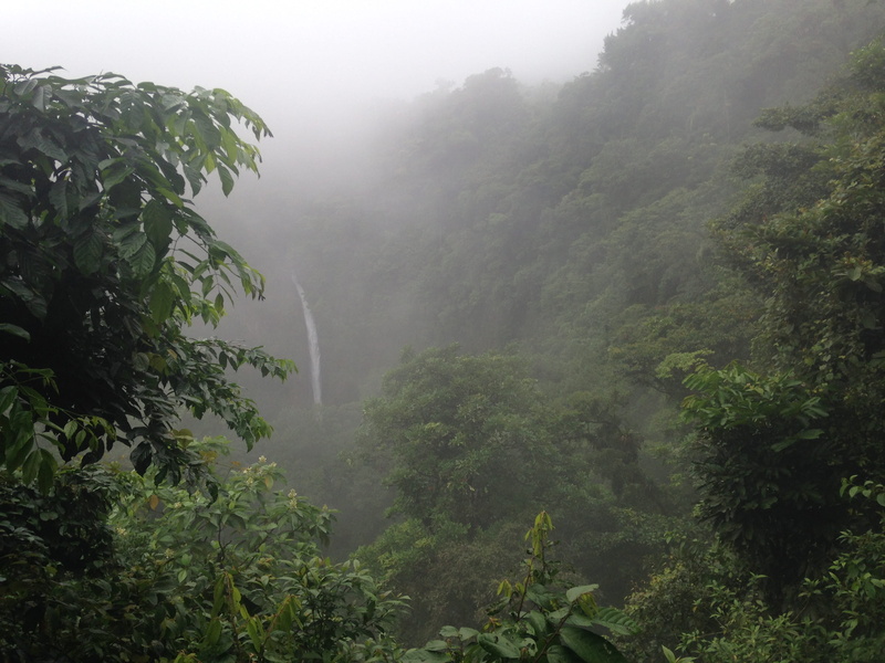 central america, non-urban scene, growth, green color, nature, scenics - nature, la fortuna de san carlos, waterfall, plant, tranquility, lush foliage