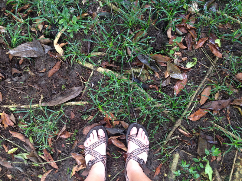 la fortuna, high angle view, body part, costa rica, low section, day, grass, human foot, one person, tropics, plant, shoe, travel, la fortuna, lifestyles
