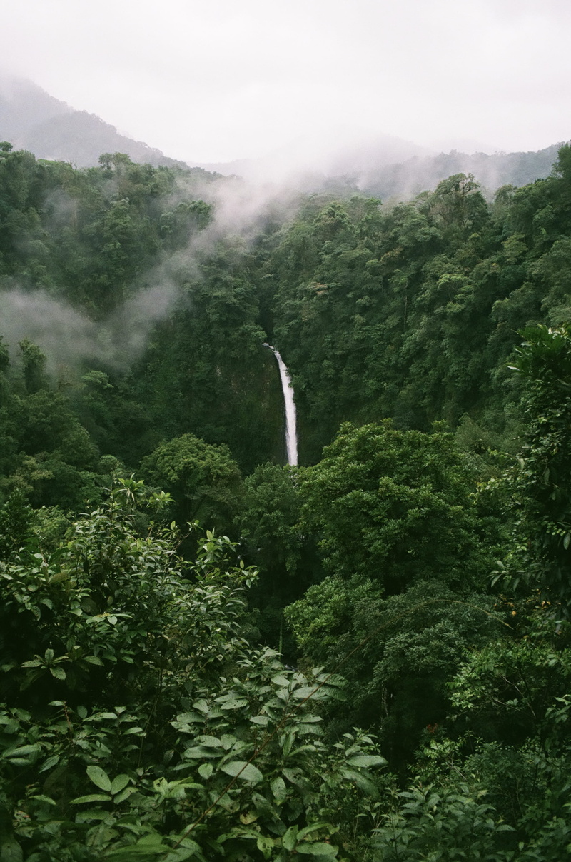la fortuna de san carlos, la fortuna waterfall, day, photo, scenics - nature, nature, plant, tranquility, mountain, waterfall, growth, non-urban scene
