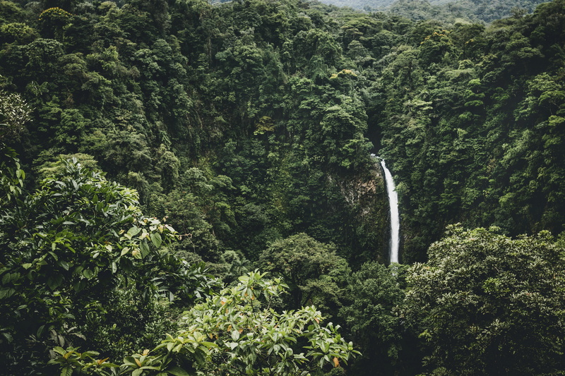 plant, La Fortuna, non-urban scene, long exposure, surround, foliage, green, nature, no People, flowing water, beauty in nature, outdoors, day, motion