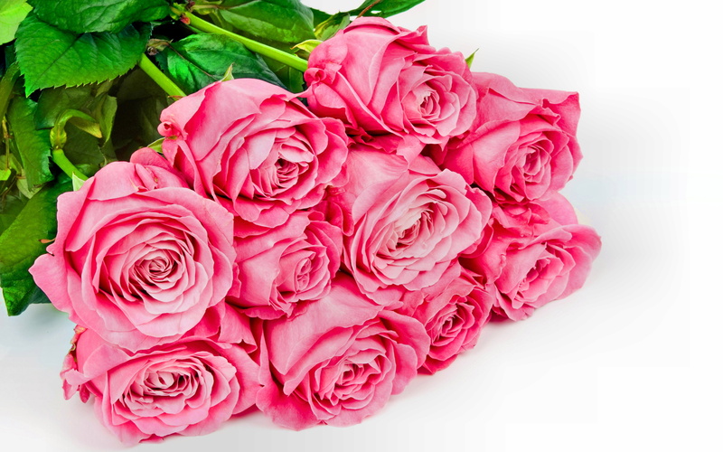 white, en, bouquet, background, flowers, roses, 5K, pink