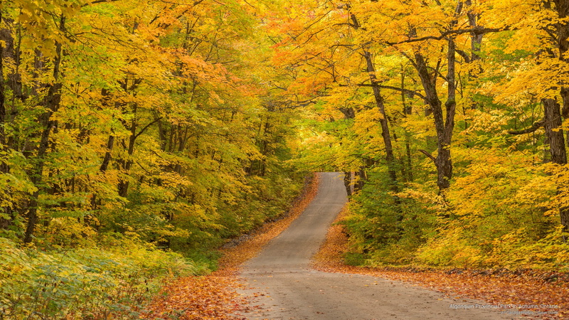 park, ontario, autumn, 2K, provincial, Fall, algonquin