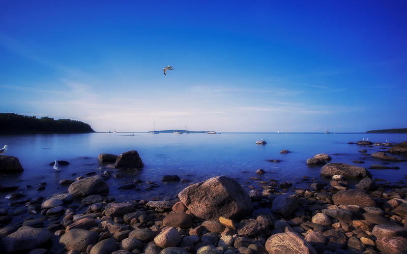 Canada, Awenda, Provincial, Gulls, Park, Evening, Ontario, Rocks, 1080P