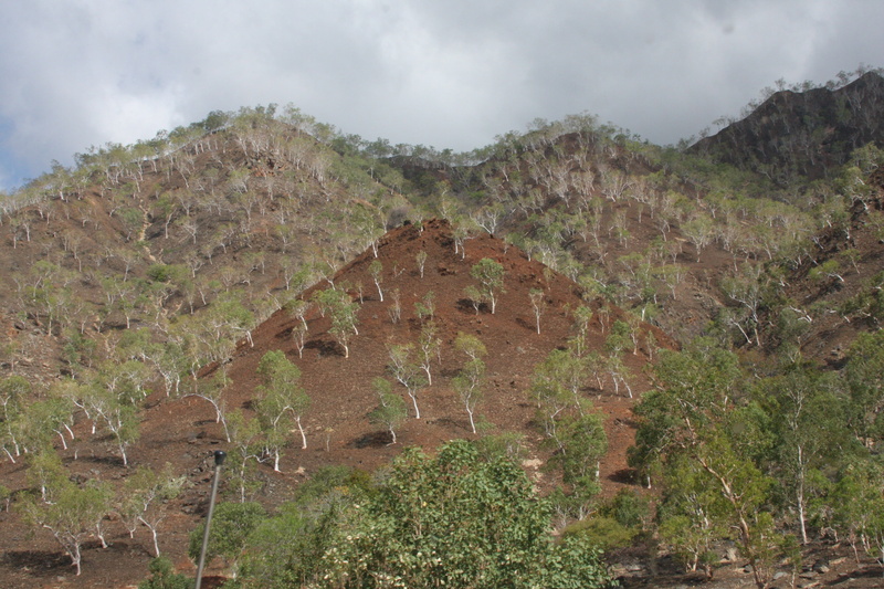 climate, hills, nature, beauty in nature, tree, formation, 4K, timor-leste, history, dry ground, tranquility, ancient civilization, physical geography