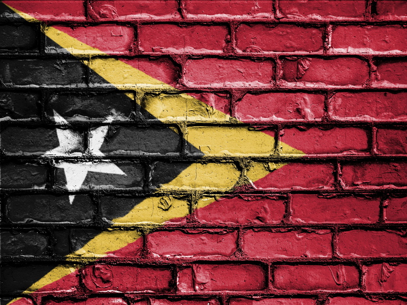 symbol, nation, banner, national, outdoors, brick wall, emblem, built structure, east timor, architecture, brick, creativity, close-up, graffiti, country