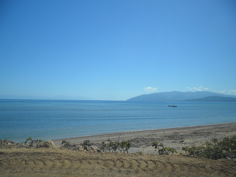 no people, day, sea, clear sky, horizon over water, water, plant, idyllic, sky, copy space, beauty in nature, tranquil scene, tranquility, non-urban scene