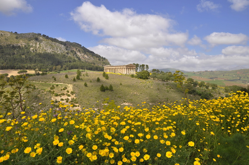 plant, architecture, landscape, 4K, built structure, springtime, temple, flower head, building exterior, sicily, magna grecia, scenics - nature, field