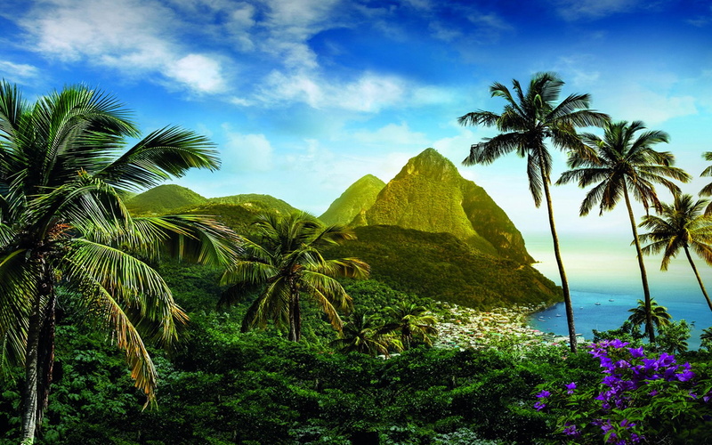 1080P, Palm Tree, Caribbean, Photography, Tropical, Ocean, Flower, Mountain, Saint Lucia