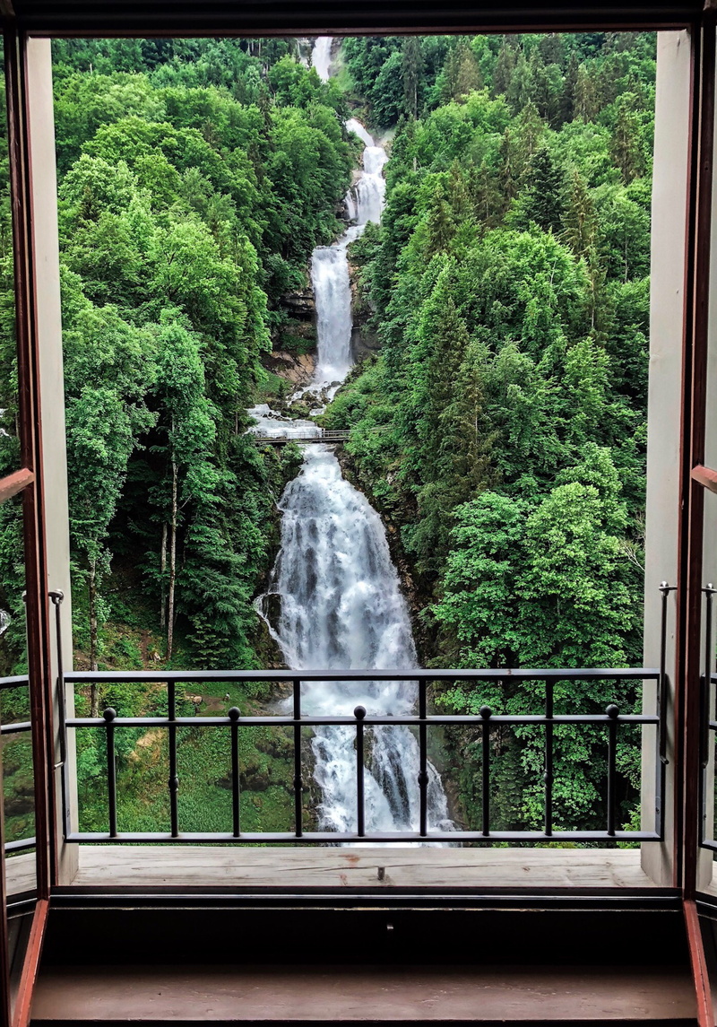 flowing water, nature, no people, switzerland, giessbachfälle, long exposure, glass - material, window, railing, tree, 5K, growth, outdoors, motion, green color