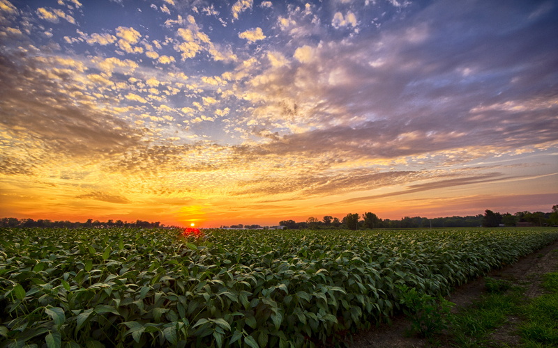 nature, scenics - nature, beauty in nature, outdoors, agriculture, desktop, hd, sunset, milford, idyllic, sky, tranquility, rural scene, field, indiana
