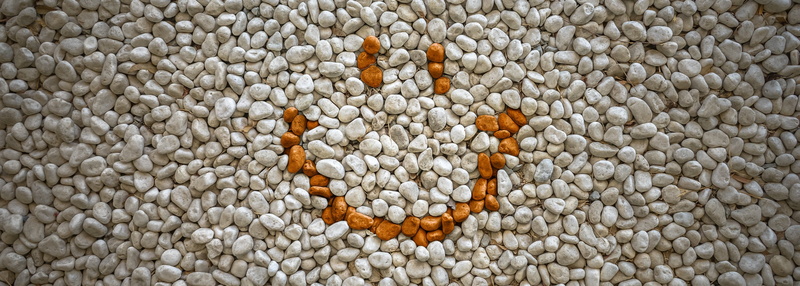smile, day, abundance, close-up, 2K, heap, pattern, stones, still life, directly above, background, stone, animal, gravel, no people, usd, brown, circle