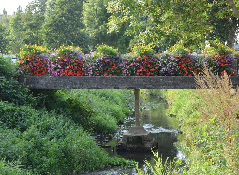 bridge fleuri, outdoors, multi colored, nature, tranquility, day, land, dol de bretagne, freshness, beauty in nature, tree, water, river the guyoult, flowers