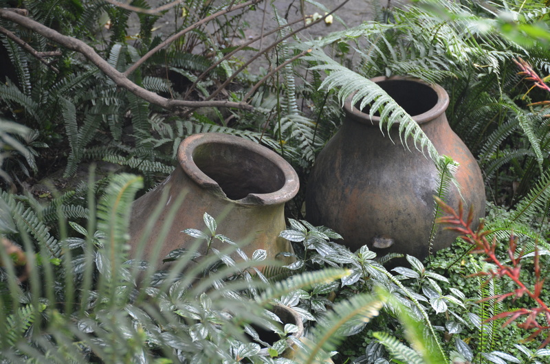 no people, growth, plant part, outdoors, branch, green color, nature, leaf, beauty in nature, old, authentic, clay, tranquility, plant, field, 4K, pottery