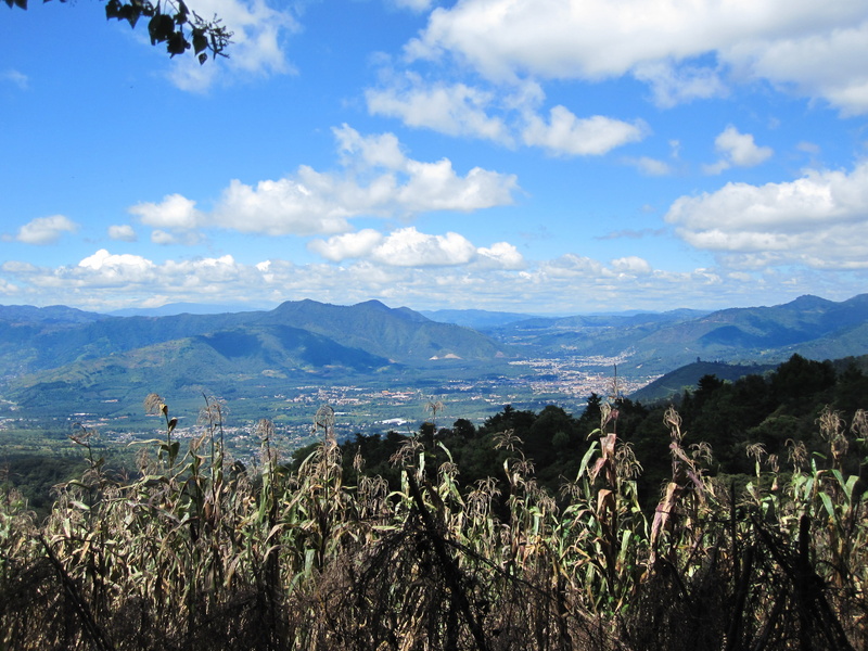 antigua, tranquil scene, growth, plant, corn, tranquility, non-urban scene, 4K, outdoors, beauty in nature, mountain range, cloud - sky, tree, mountain