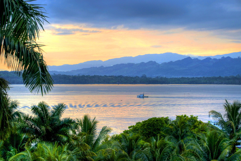 1080P, the evening, palm trees, Livingston, river, Guatemala, shore