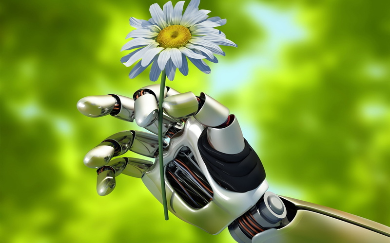 daisy, Flower, Robot, white, 2K, Holds, Creative, Chamomile